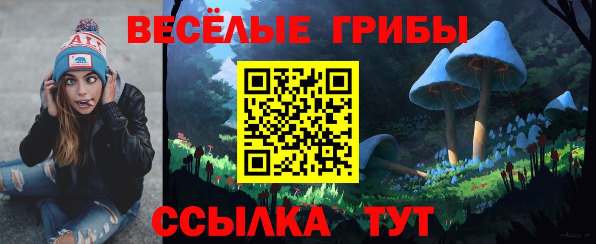 Бузулук  Псилоцибиновые грибы ЛСД  Вход с VPN  Галлюциногенные грибы MAGIC MUSHROOMS 